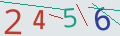 verifycode